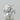 2.07ct Oval Lab Grown Diamond (Colour G, Clarity VVS2, IGI Certified)